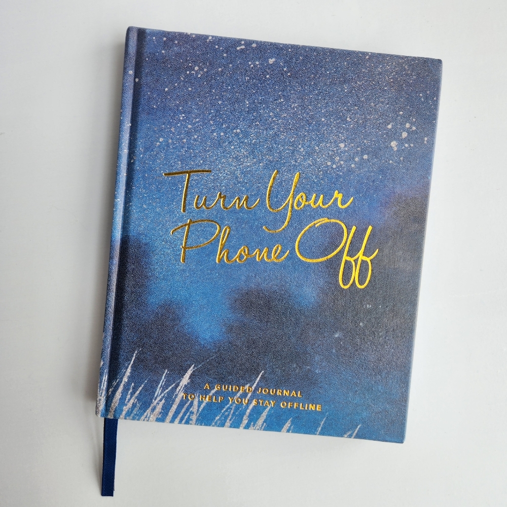 NWT Blue and Gold Guided Journal With 2 Bookmarks Morning/Evening Journal